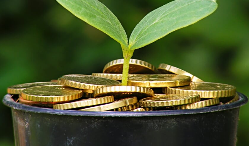 Plantje met geld
